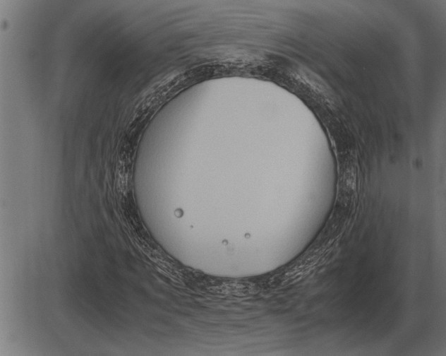 X0000086090869200704091324