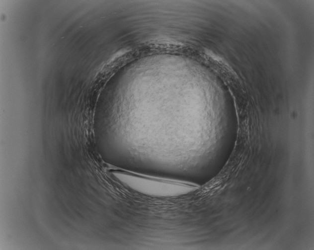 X0000086090870200704091324