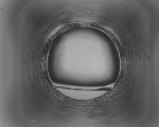 X0000086090871200704091324