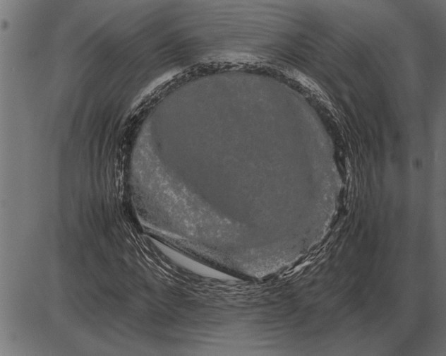 X0000086090872200704091324