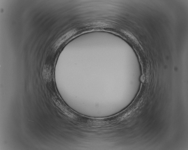 X0000086090873200704091324