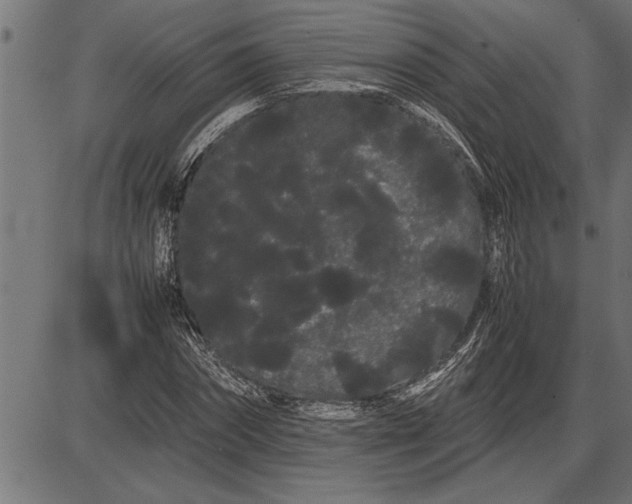 X0000086090874200704091324