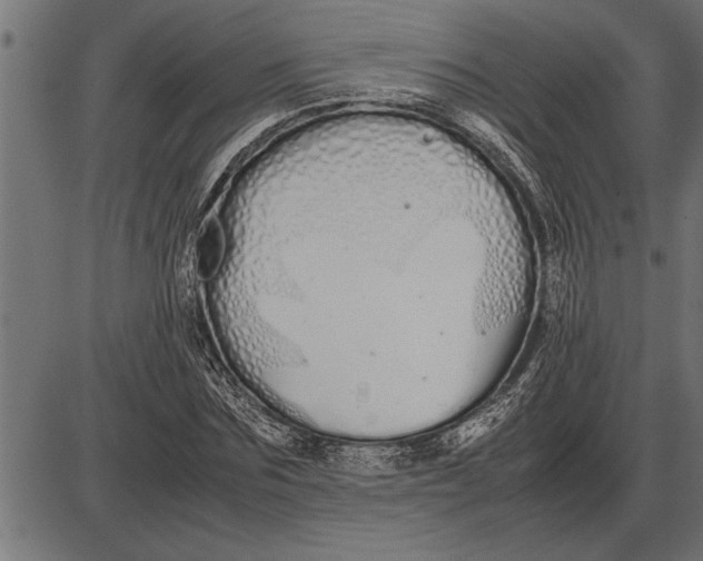 X0000086090875200704091324