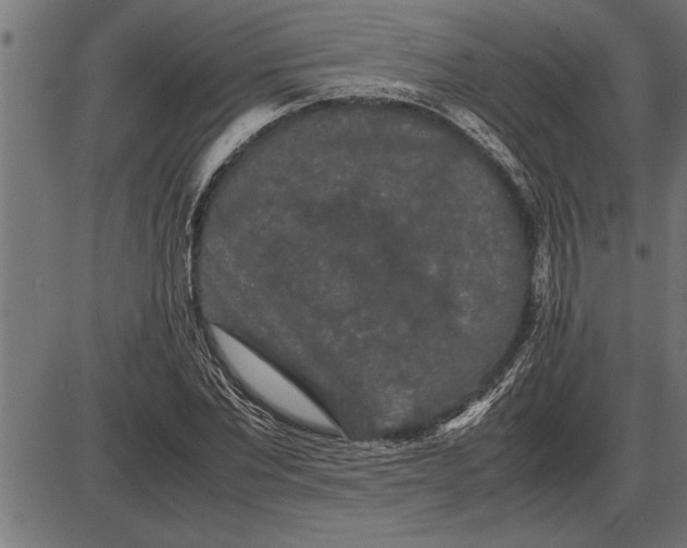 X0000086090877200704091324