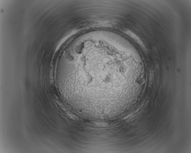 X0000086090878200704091324