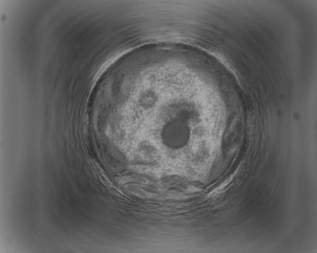 X0000086090879200704091324