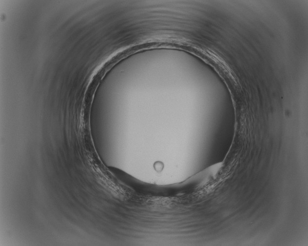 X0000086090880200704091324