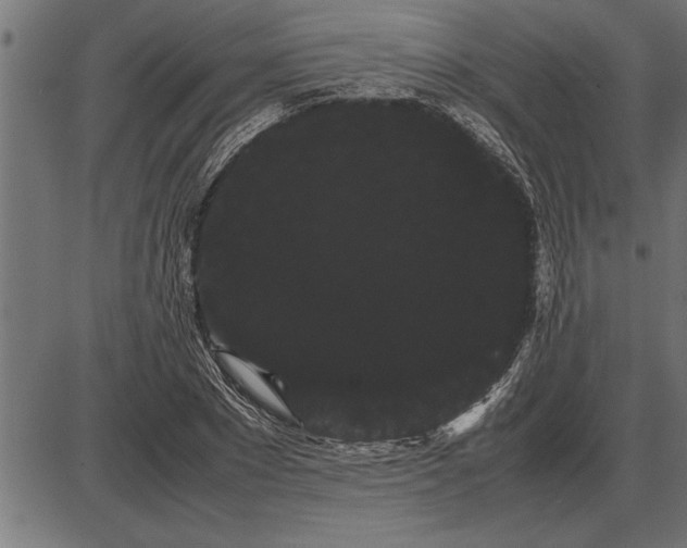 X0000086090881200704091324