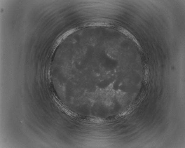 X0000086090882200704091324