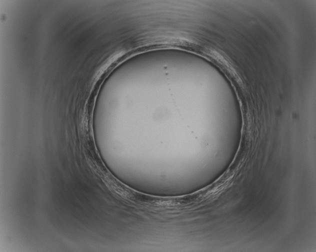 X0000086090883200704091324