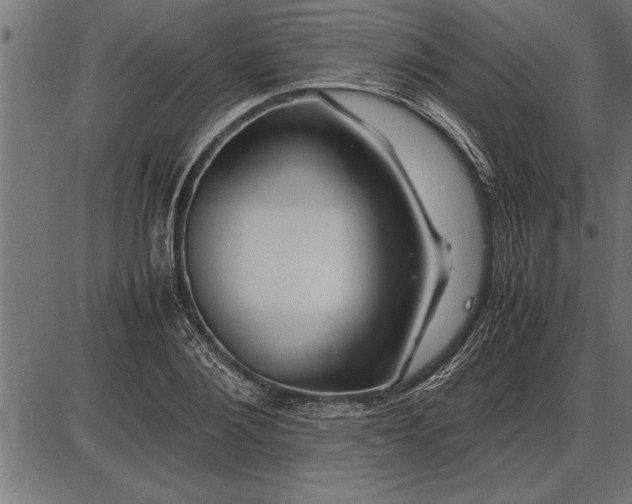 X0000086090884200704091324