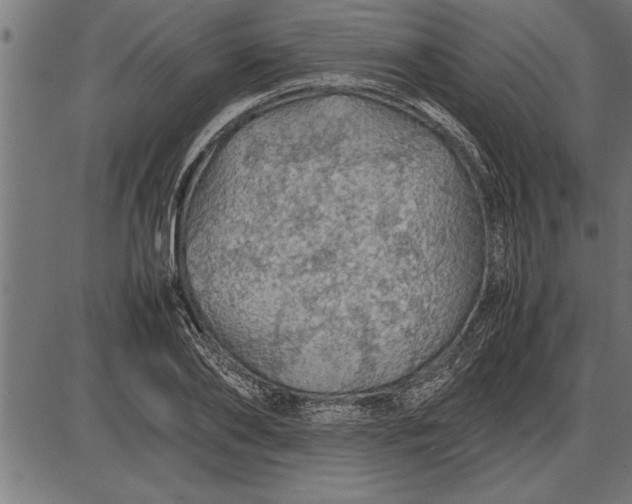 X0000086090886200704091324