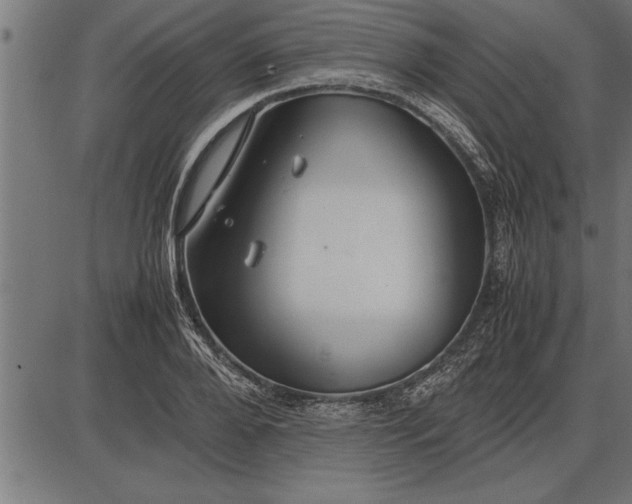 X0000086090888200704091324