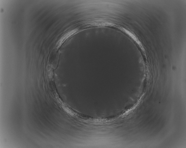 X0000086090889200704091324