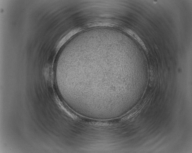 X0000086090890200704091324