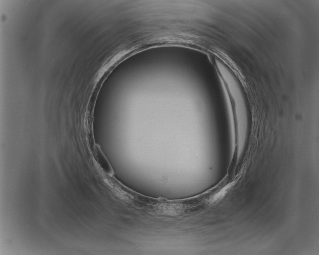 X0000086090893200704091324