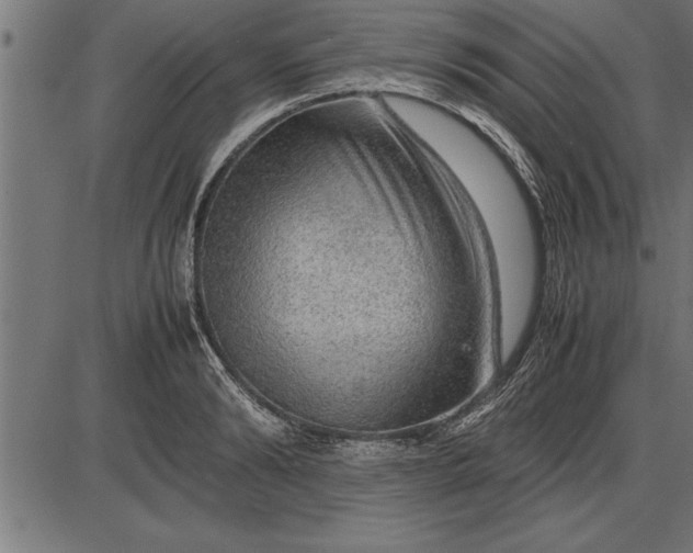 X0000086090894200704091324