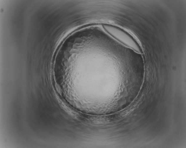 X0000086090895200704091324