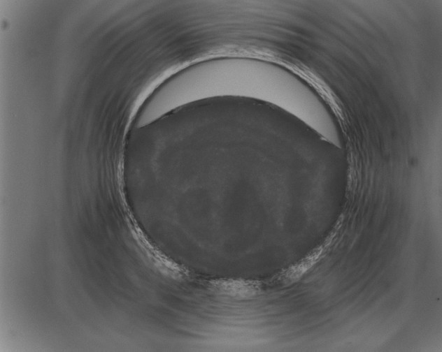 X0000086090896200704091324