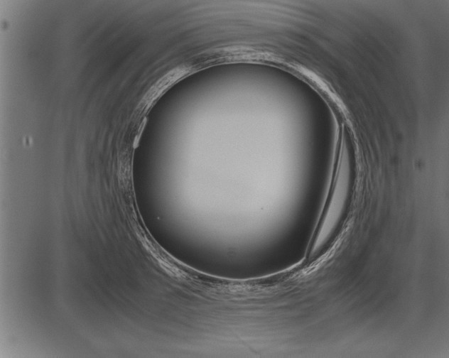 X0000086090897200704091324