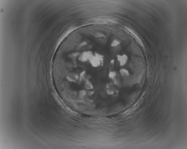 X0000086090899200704091324