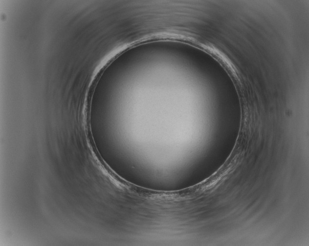 X0000086090902200704091323