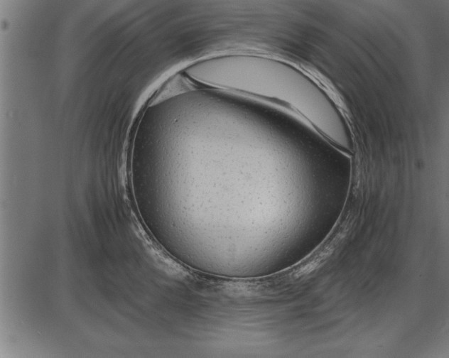 X0000086090904200704091323