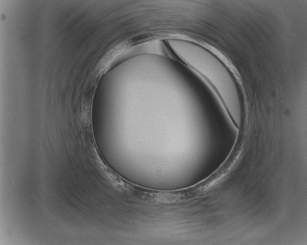 X0000086090905200704091323