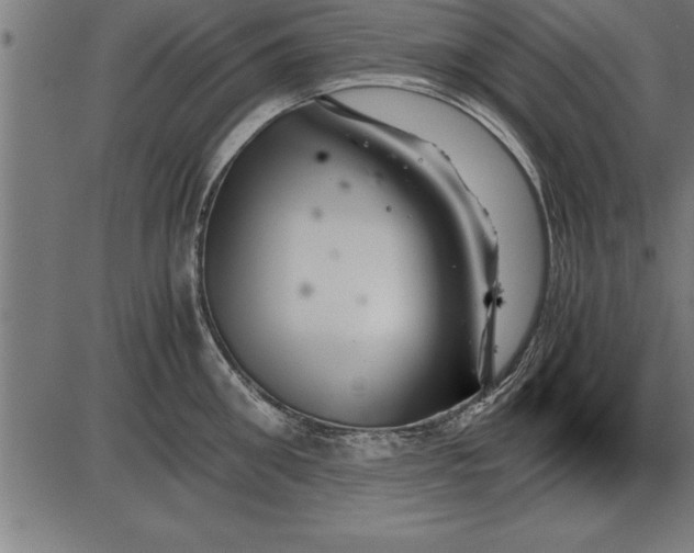 X0000086090906200704091323