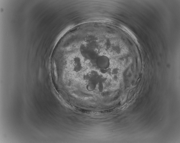 X0000086090907200704091323