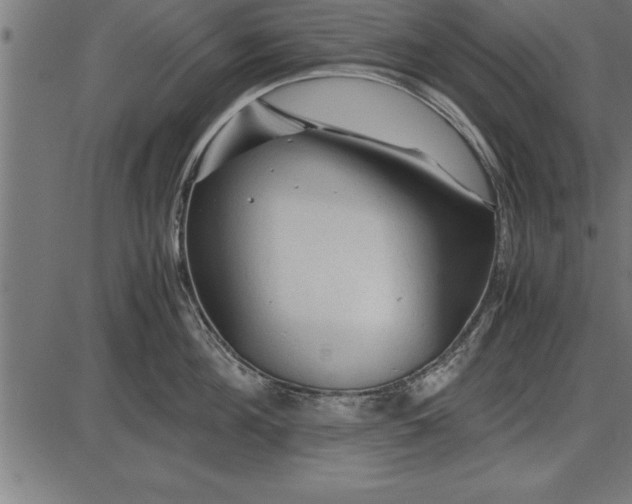 X0000086090908200704091323