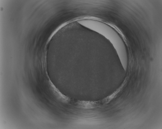 X0000086090910200704091323