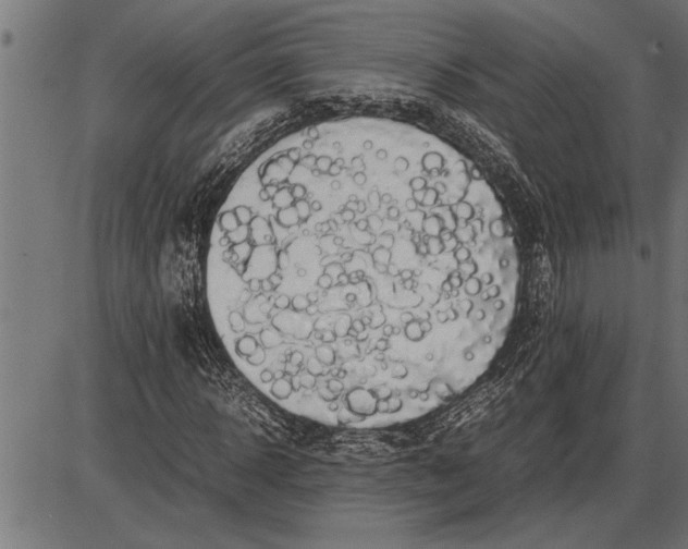 X0000086090918200704091323