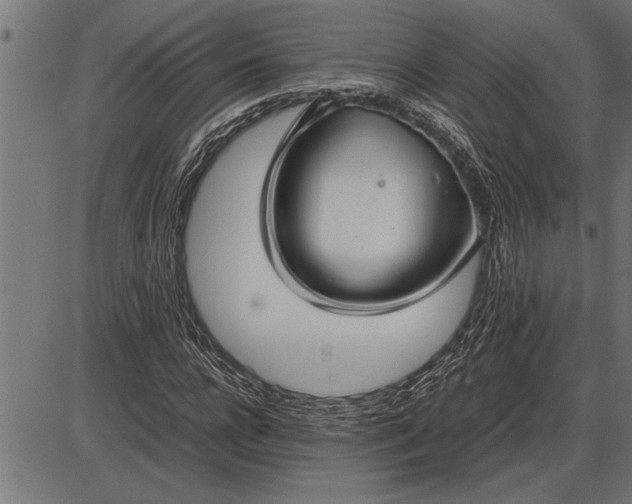 X0000086090920200704091323