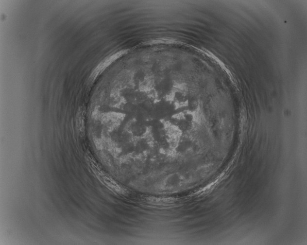 X0000086090921200704091323