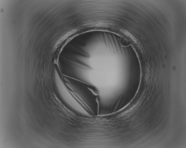 X0000086090922200704091323