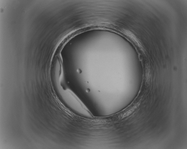 X0000086090924200704091323