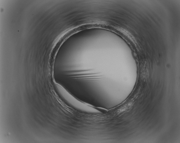 X0000086090927200704091323