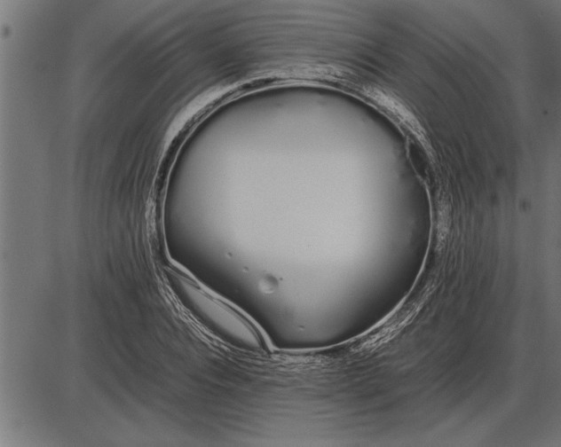 X0000086090928200704091323