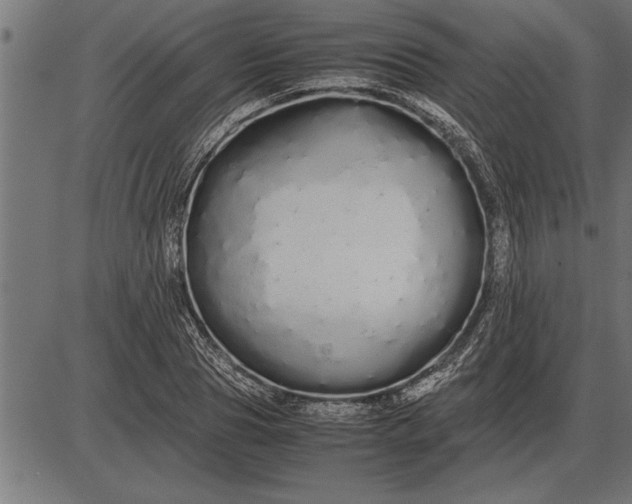 X0000086090929200704091323