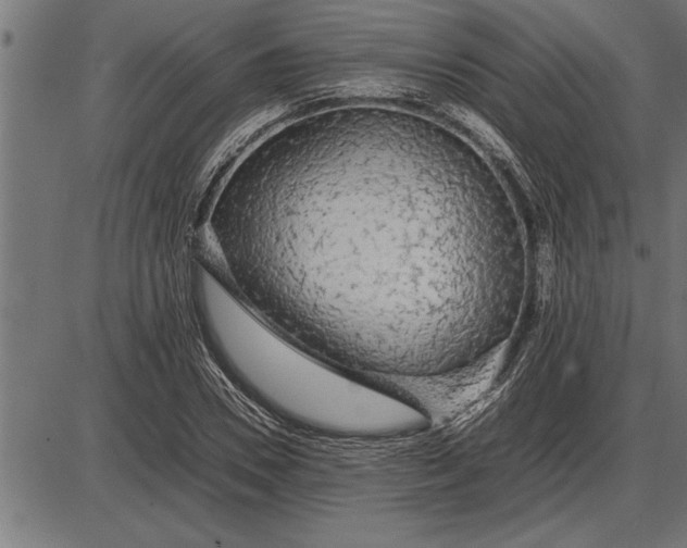 X0000086090930200704091323