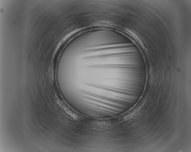 X0000086090931200704091323