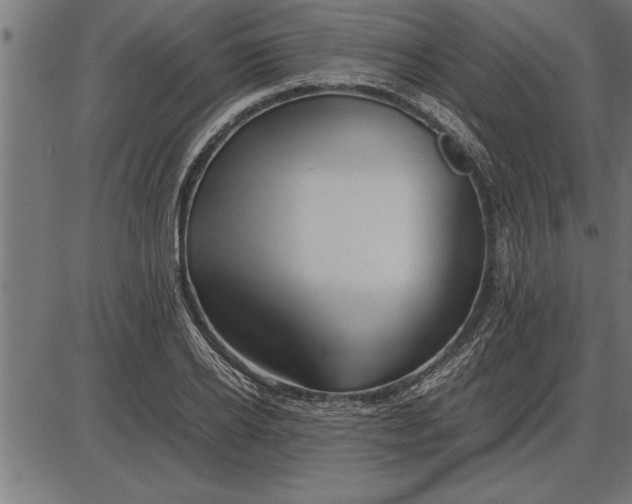 X0000086090934200704091323