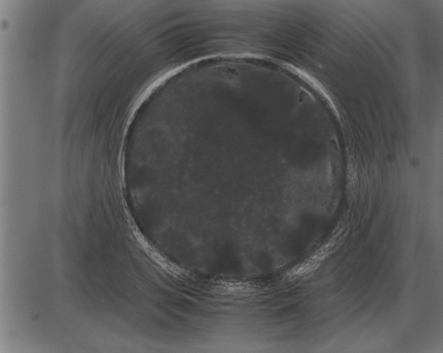 X0000086090935200704091323