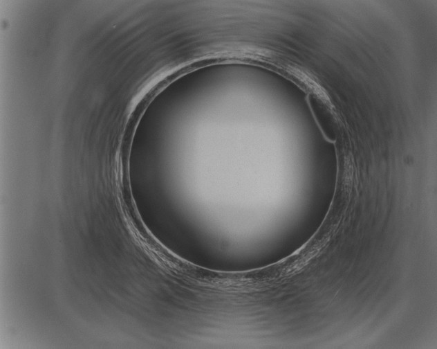 X0000086090936200704091323