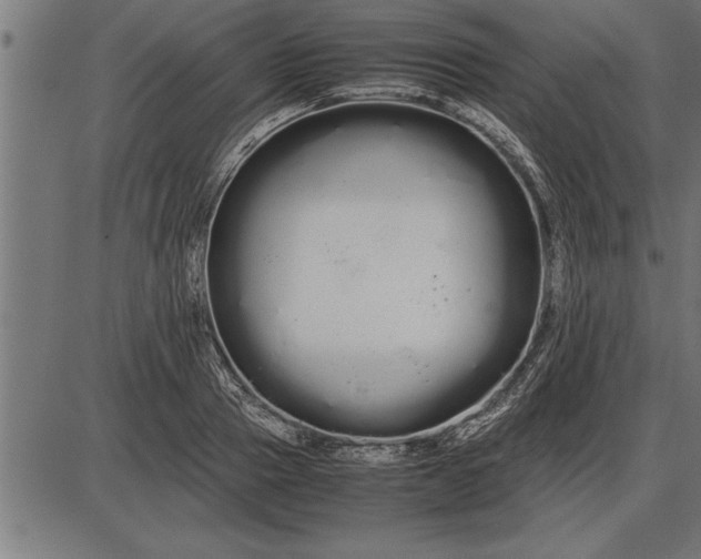 X0000086090937200704091323