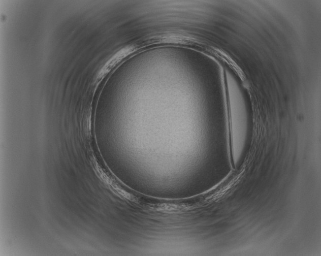 X0000086090938200704091323