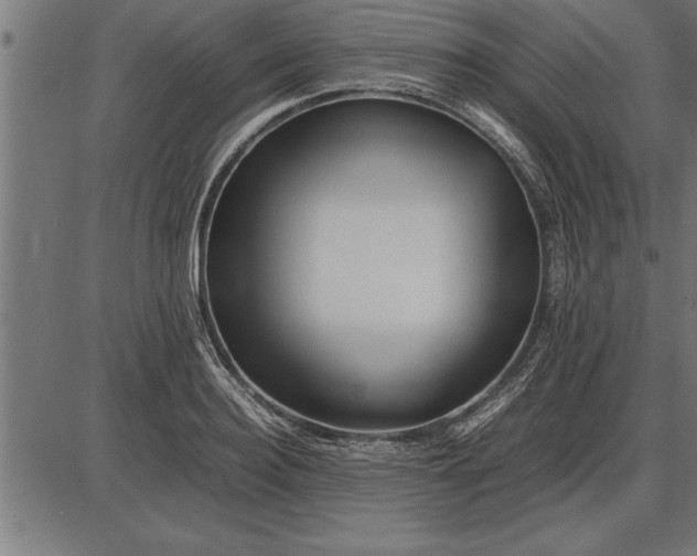 X0000086090940200704091323