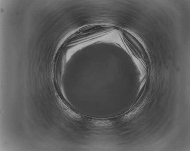 X0000086090941200704091323