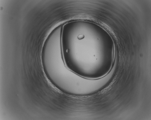 X0000086090942200704091323